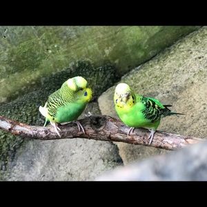 Meet your Posher, Lorena